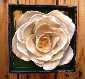 white rose flower box close up