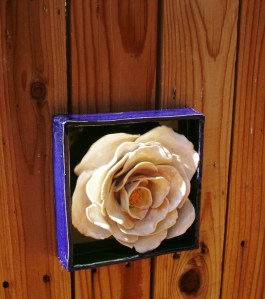 white rose flower box side view