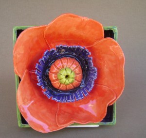 Orange Poppy Shdow Box